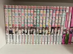熱愛プリンス 1巻〜21巻セット ✨特典付き✨