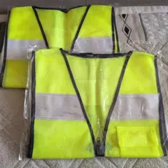 Item thumbnail for item 27087846-7e47-47f2-811e-358f92dd0261