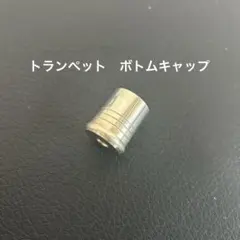 Item thumbnail for item d6936cde-29fd-495e-b6bf-8f0c7555f5f0