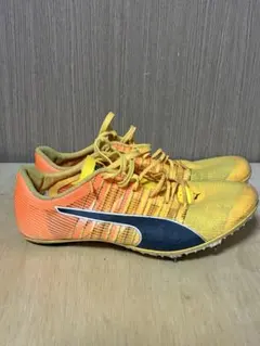 PUMA メンズ エヴォスピード ブラッシュ 6 (25.5cm)