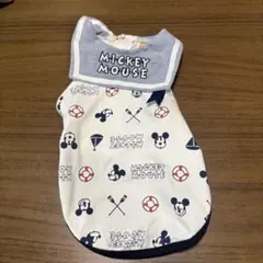 Item thumbnail for item b6eeda81-3357-43d4-afd8-165d1e798c67