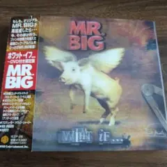 MR. BIG / What If...