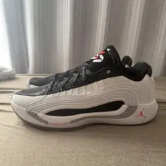 JORDAN LUKA4 PF 29.5cm