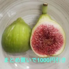 むぎあさり様 リクエスト 2点 まとめ商品