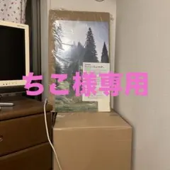 【ちこ様専用】ムーミンハウスをつくる　背景付きディスプレイケース