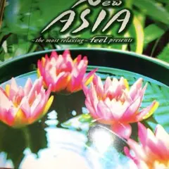 feel プレゼンツ「New ASIA~ニュー・エイジア~」 - オムニバス