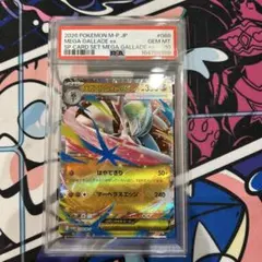 W*h様 PSA10 メガエルレイド スペシャルカードセット 進化連番セット ま W*h様 PSA10 メガエルレイド スペシャルカードセット 進化連番セット