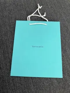 2026年最新】TIFFANY ショップ袋・ショッパーの人気アイテム - メルカリ