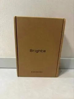 Brightz 美顔器 シルバー USBケーブル付 ローション シートマスク付き