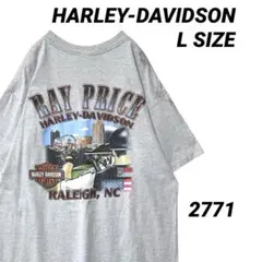 【ダメージ】00s ハーレーダビッドソン ヴィンテージ Tシャツ L イーグル