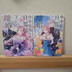 拝啓見知らぬ旦那様、離婚していただきます = To My Unfamiliar…