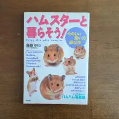 Item thumbnail for item 2c21404c-11bd-4cbe-9f74-53e3135e091a