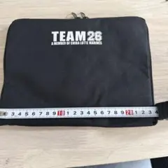 千葉ロッテマリーンズ パッカブルトートバッグ　未使用品