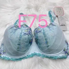 トリンプ レッドレーベル バイ 0098 ブラジャー ブルー　F75