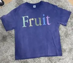 FRUIT OF THE LOOM Tシャツ　フルーツオブザルーム