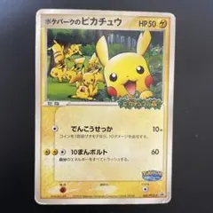 ポケパークのピカチュウ PROMO PCG-Pプロモカード 043/PCG-P - メルカリ