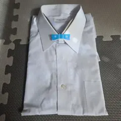 Item thumbnail for item 1247b308-ddd8-4059-aa40-96bde99aedf2