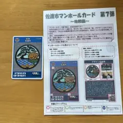 Item thumbnail for item 66a9bfc0-a11a-442a-bedd-cb1976b6fc2a