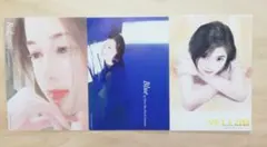 陳淑芬　平凡　イラストレーター　プロモーションポストカード