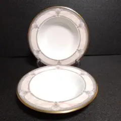 未使用 Noritake シャトレーヌプラチナ プレート 24cmペア　ノリタケ 未使用 Noritake シャトレーヌプラチナ プレート 24cmペア ノリタケ