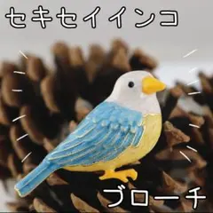 青　鳥　ブローチ　セキセイインコ　真鍮　ピン　文鳥　帯留