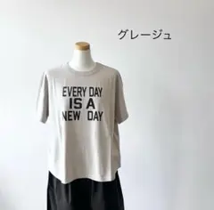 再値下げ　ロゴ　半袖　Tシャツ　グレージュ　日本製　BLUELAKEMARKET