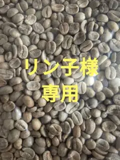 リン子様専用☆コーヒー生豆セット
