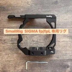 2026年最新】SIGMA fp smallrigの人気アイテム - メルカリ