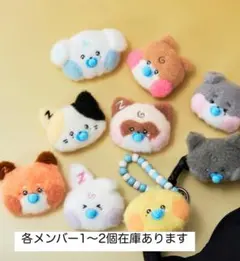 テュニニ アイドル