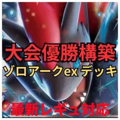 Nのゾロアーク デッキ 優勝 構築済み セット まとめ売り　新レギュ対応 ポケカ