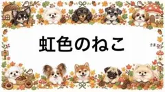 専用
