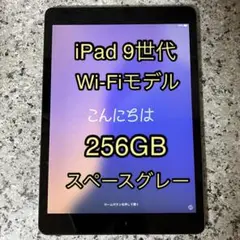 【美品】iPad 9世代 Wi-Fiモデル 256GB スペースグレー