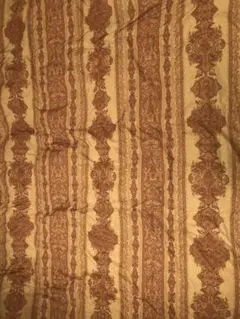 Item thumbnail for item 01bf3a5d-a2d7-401d-a0a9-8a2e4d44f760