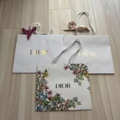 Dior ショッピングバッグ 3枚セット