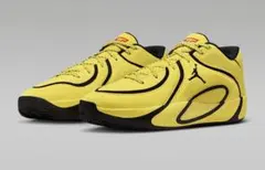 お値下23.新品、箱あり JORDAN TATUM1PF 28.5㎝ - メルカリ