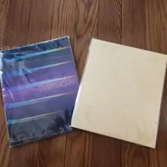 嵐 パンフレット2冊セット