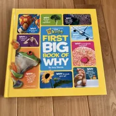 First Big Book of Why by Amy Shields