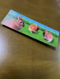 Item thumbnail for item c5190bf7-cbbf-4c05-bfb0-3b63be56cfee