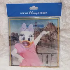 東京ディズニーリゾート　 色紙　実写　シンデレラ城　 デイジー