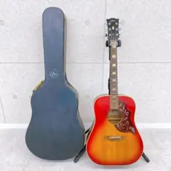 モーリス ハミングバード ヴィンテージアコースティックギター WH-25