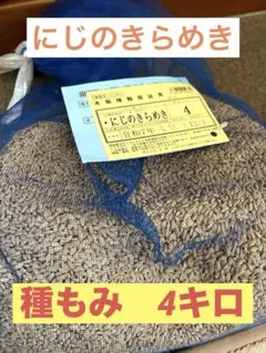 にじのきらめき 種 4kg 発芽率90%以上 にじのきらめき 種子 90%以上発芽 4㎏ - メルカリ