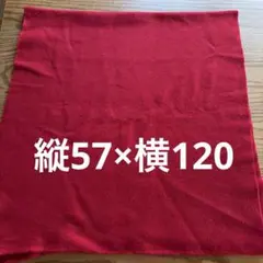 赤 フリース生地 縦約57cm x 横約120cm