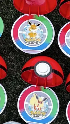限定　ポケモン　ポケパーク　カントー　ピンバッジ ピンズ　ブースター　サンダース