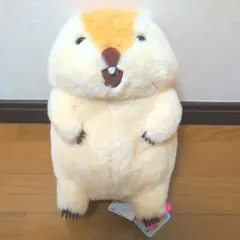 【匿名配送✨️】 マーモットのもっとっと　ぬいぐるみ　モア