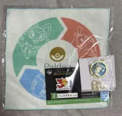 一番くじ ポケモン 30周年　ハンドタオル　メタルチャーム　まとめ売りのサムネイル