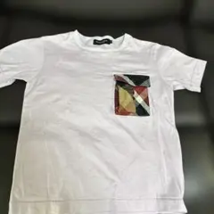 Item thumbnail for item 5fc6a4c3-5f2c-451d-866f-c971baf6e84c