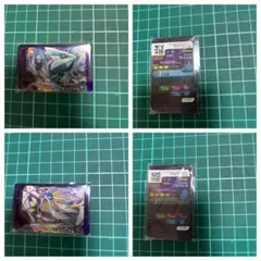 フレンダ 「キュレム&ソルガレオ」