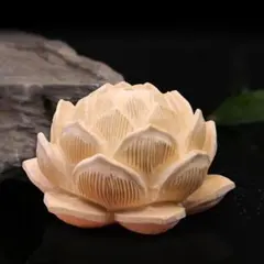 柘植根付 蓮ハス