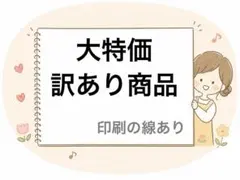 【早い者勝ち】大特価訳あり商品