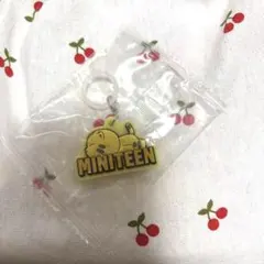 SEVENTEEN セブチ MINITEEN ミニティーン ホシ めじるし
